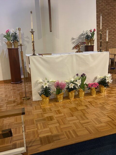 IMG_2927 Advent Wreath with three candles lit